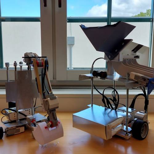 Sorting robots