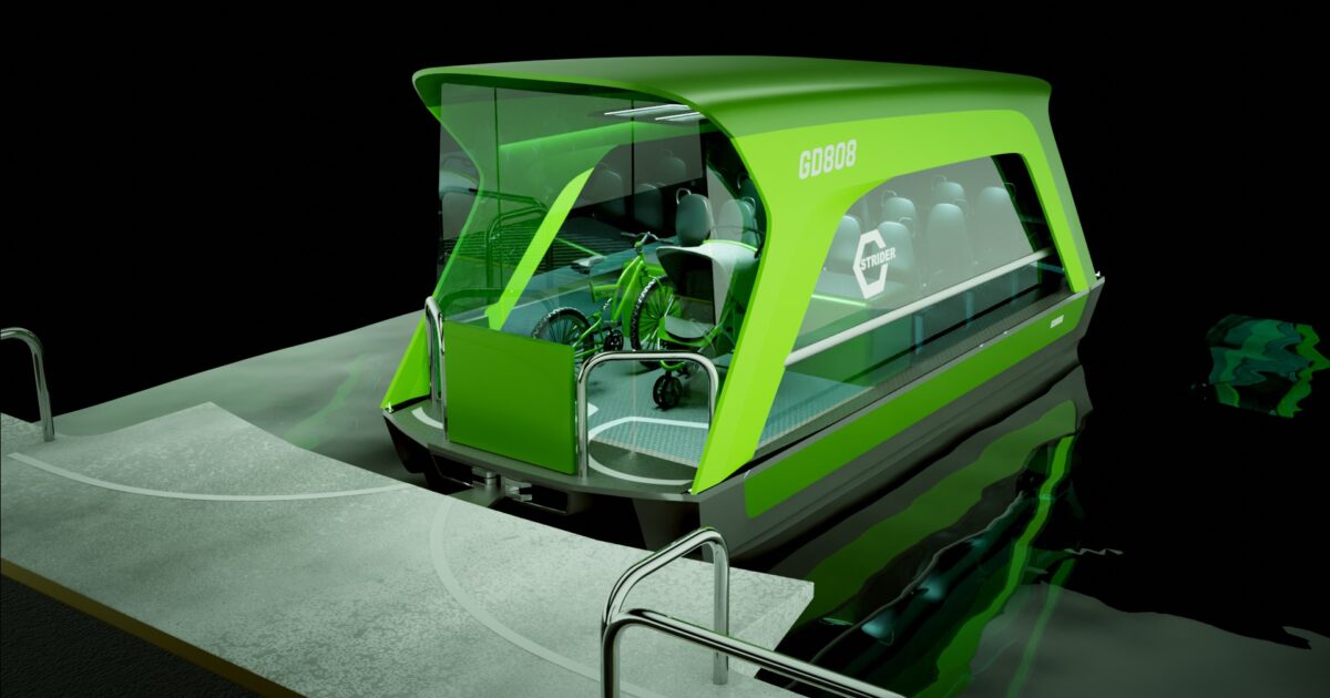 Docking solution for Cstrider